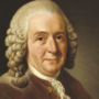 Carl Linnaeus