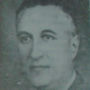 Costin Nenițescu