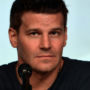 David Boreanaz