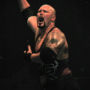 Doc Gallows