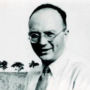 Friedrich Karl Schmidt