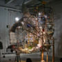 Sarah Sze
