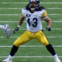 Troy Polamalu