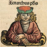 Xenarchus