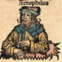 Xenophilus