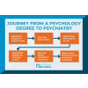 infographic for educational pathway for a psychology degree