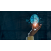 rising fields and specializations in technology