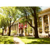 Harvard University