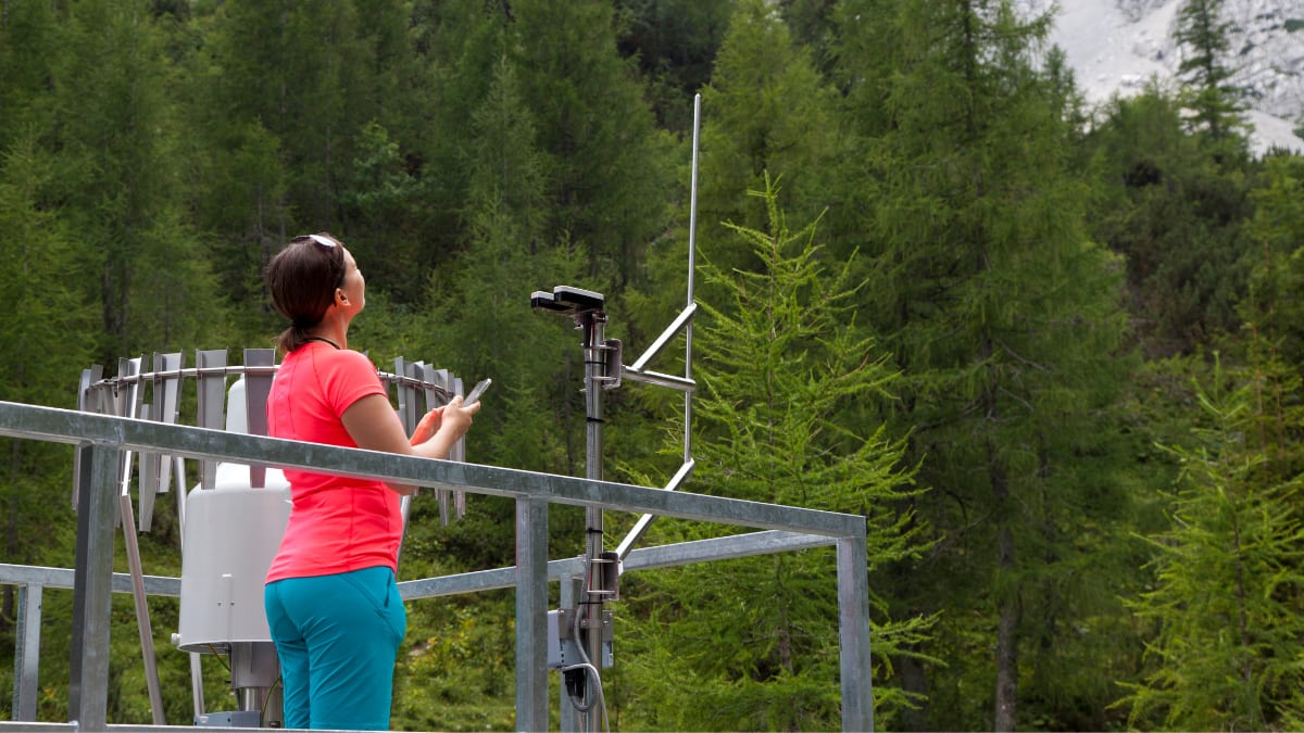 Woman in the forest watching the sky