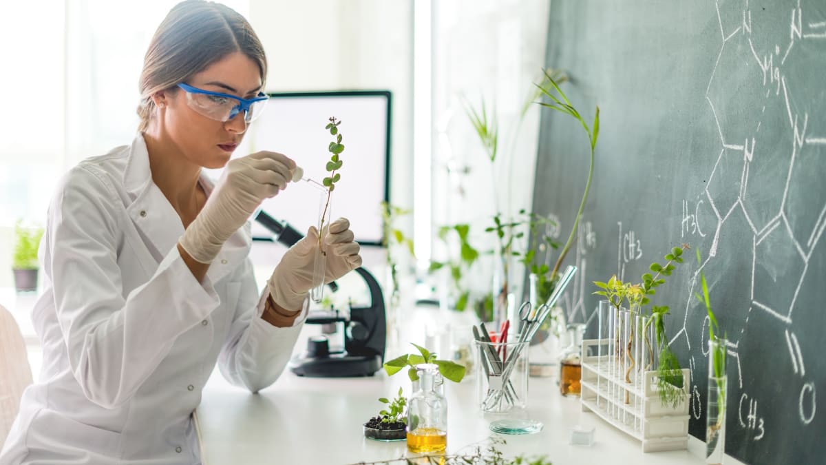 Woman working on a plant in a lab