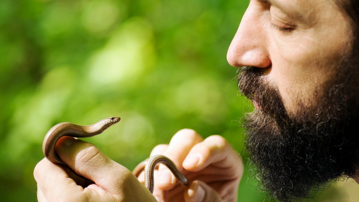 Man holding a small snake