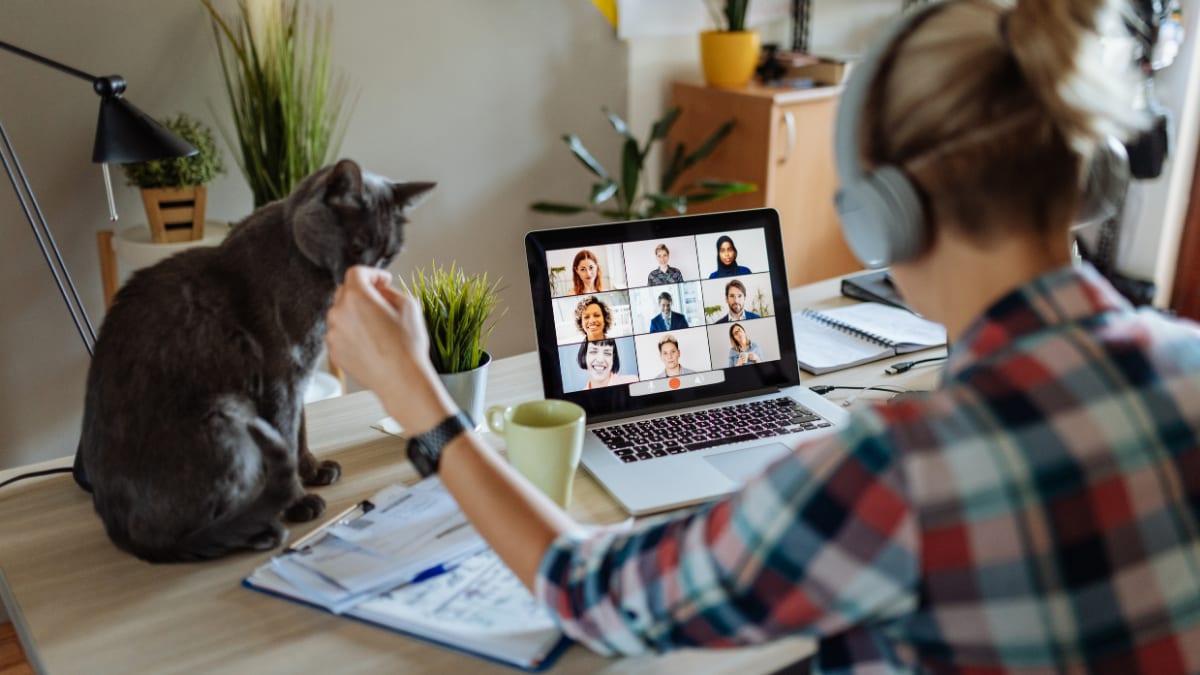 Woman on a video call next to a cat