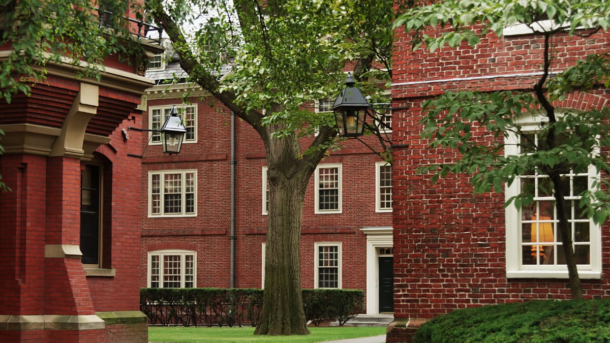 University campus at Harvard University