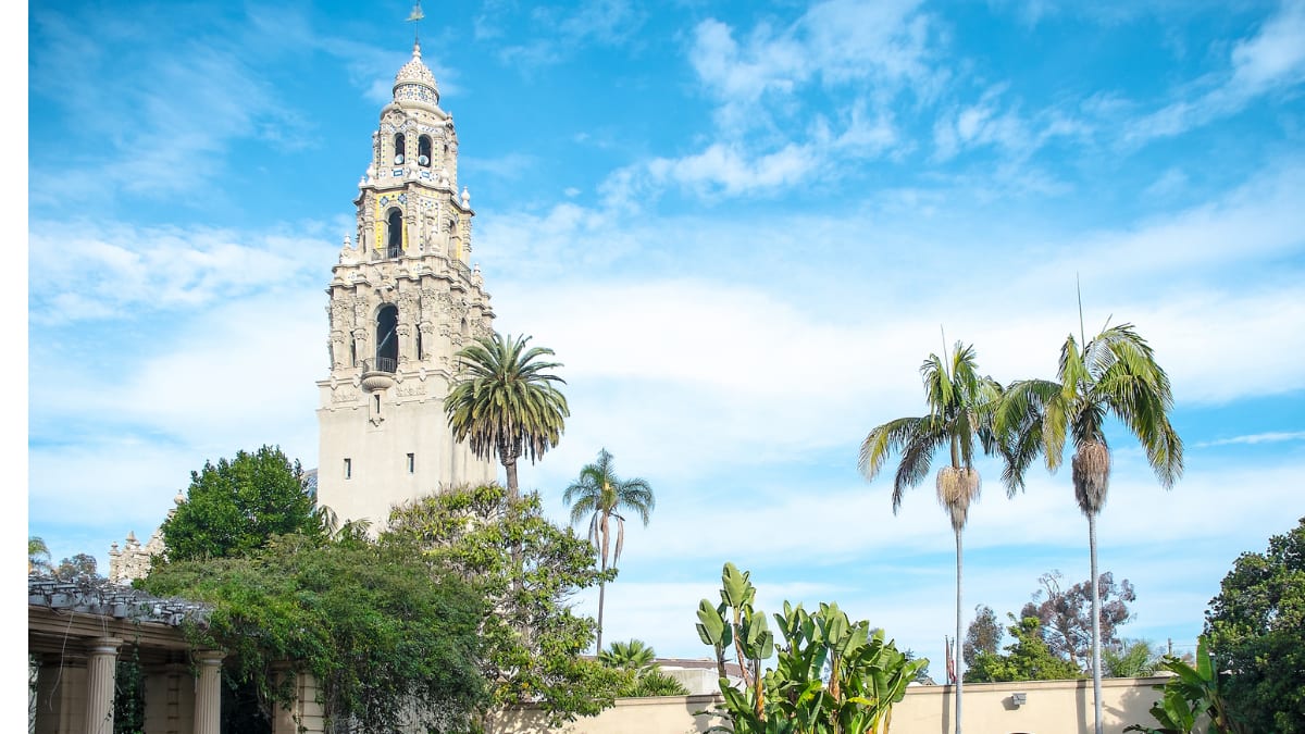 tropical views of University of San Diego