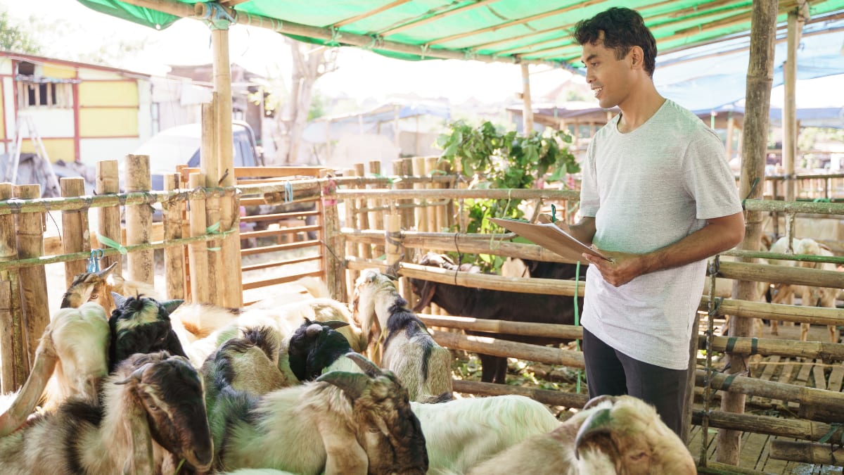 taking note of animals wellbeing