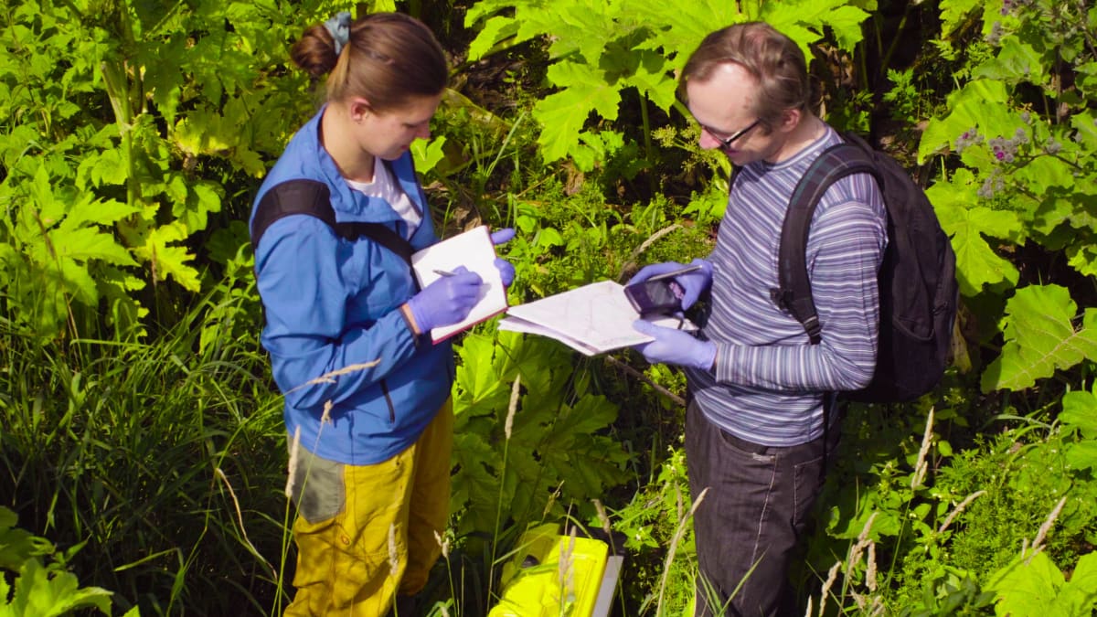 ecologists working in the field