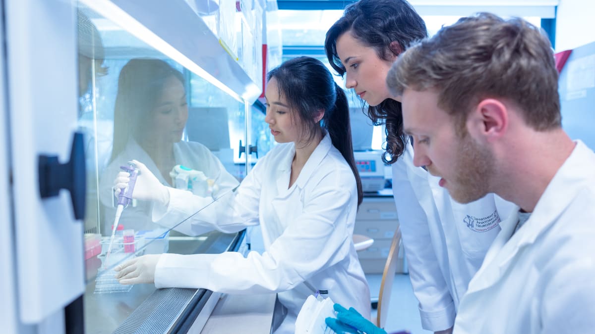 science students in a university lab