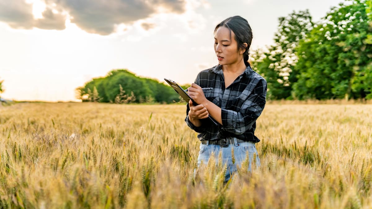 agribusiness professional standing in the middle of a field while holding a laptop