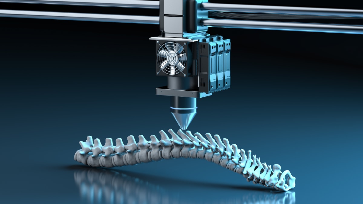 3D print of spinal cord