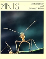 Book Cover for The Ants