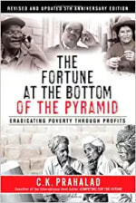 Book Cover for The Fortune at the Bottom of the Pyramid