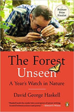 Book Cover for The Forest Unseen