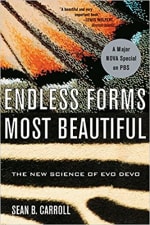 Book Cover for Endless Forms Most Beautiful