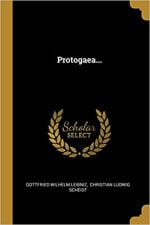 Book Cover for Protogaea