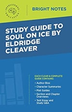 Book Cover for Study Guide to Soul on Ice