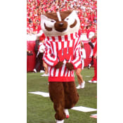 Bucky Badger