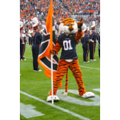 Aubie the Tiger
