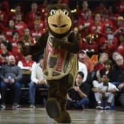 University of Maryland logo