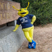 University of California, Santa Cruz logo