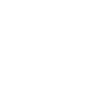 business icon