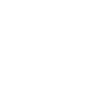 criminal-justice icon