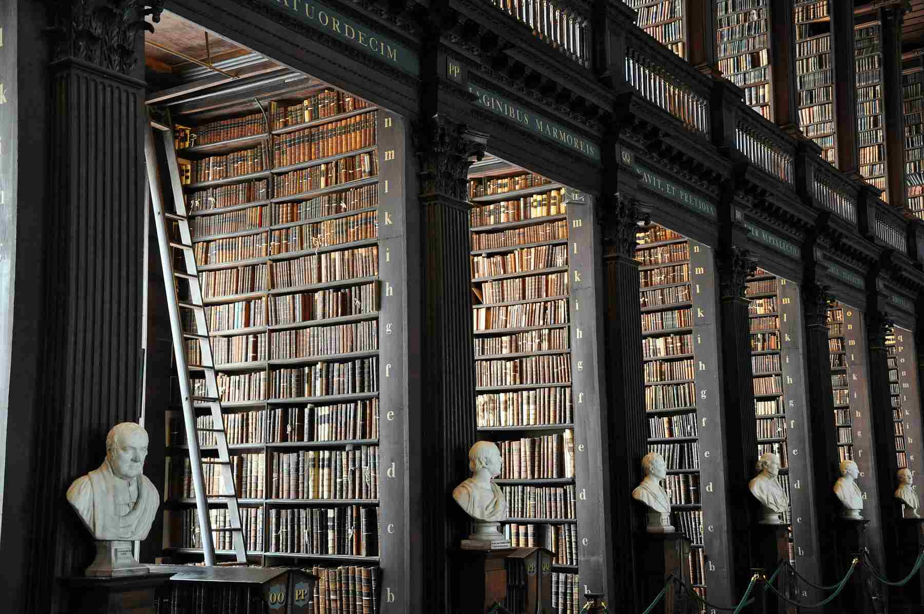 Huge library with sculpted portrait busts of ancient philosophers