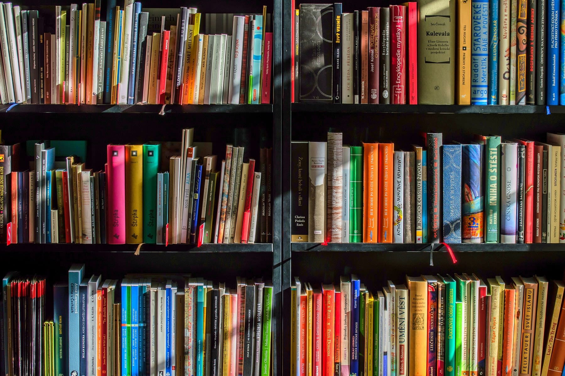 Bookshelves filled with various types of books