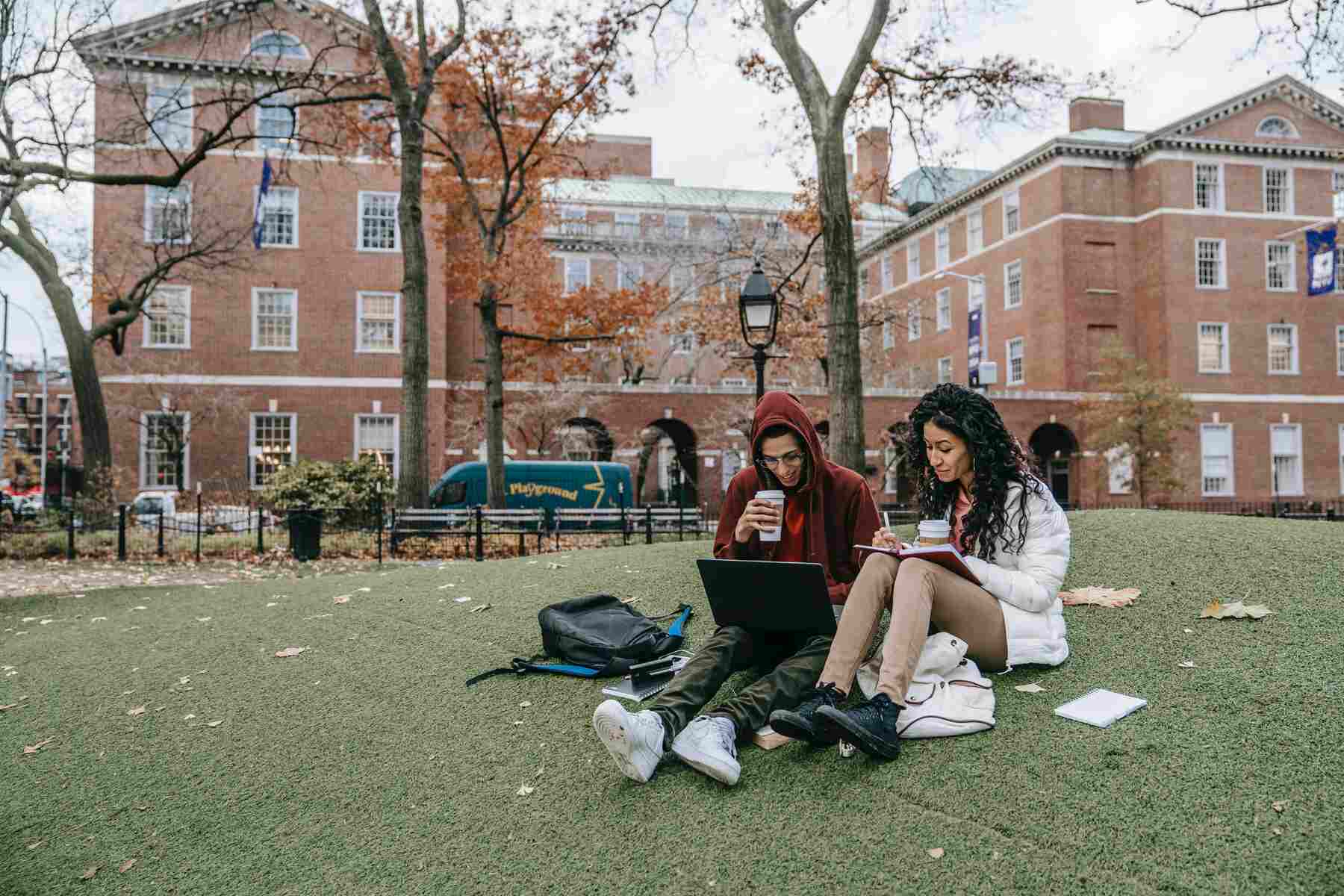 Students sitting and studying on a school lawn