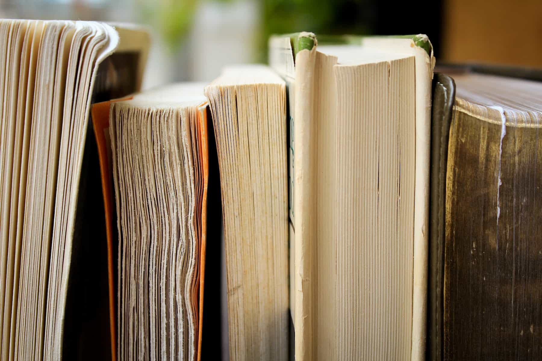 Books lined up in a shelf