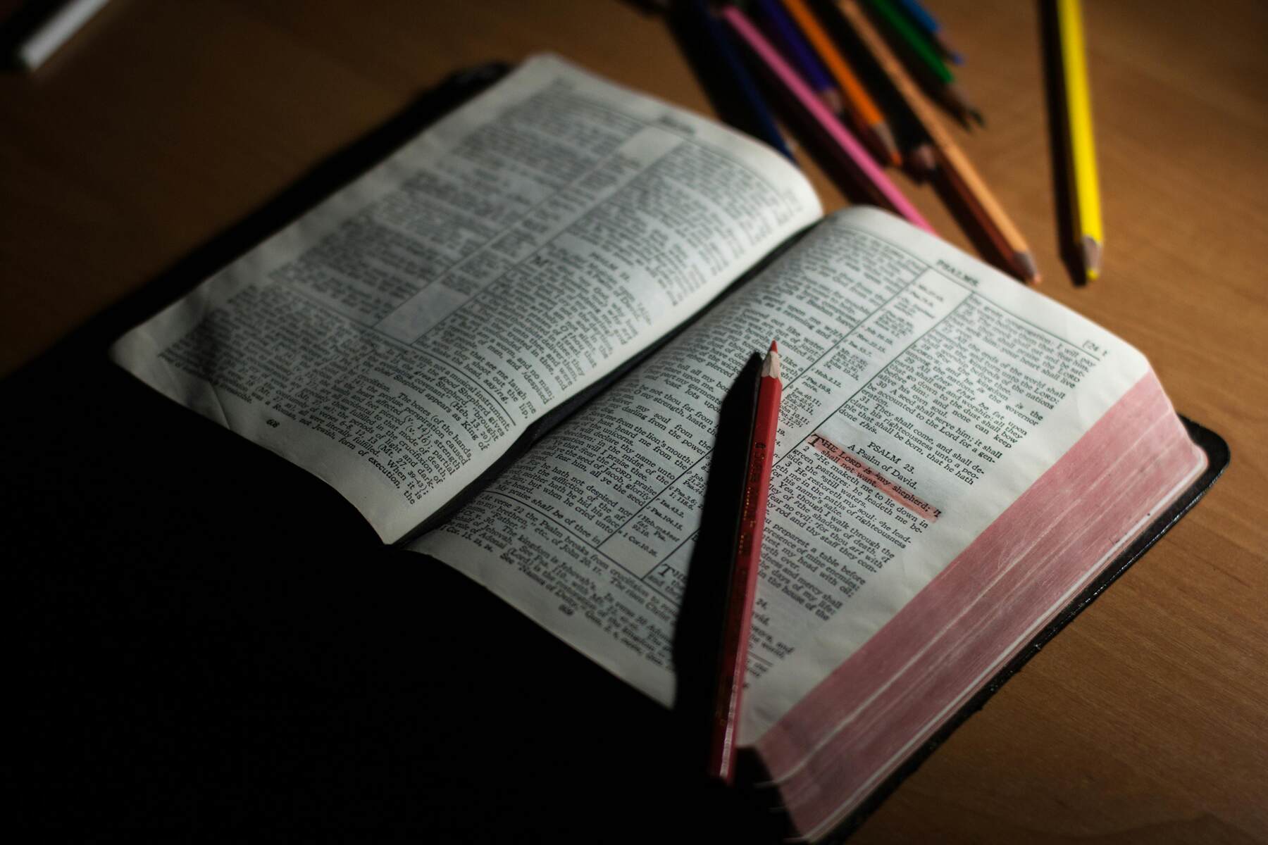 Sections of a bible highlighted with a colored pencil