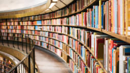 English Major and Literature Major Guide