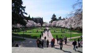 University of Washington