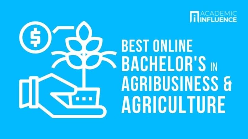 Best Online Bachelor’s in Agribusiness and Agriculture Degree Programs