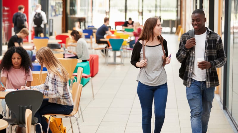 Two students walking a college building