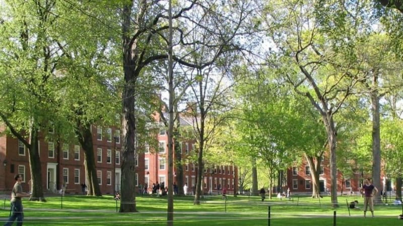 how-to-get-into-harvard-academic-influence
