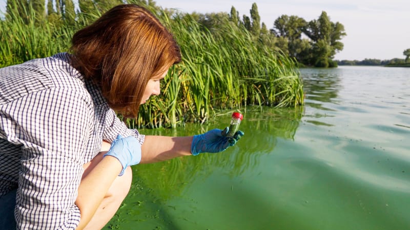 College Majors: A Student’s Guide to Earth Science