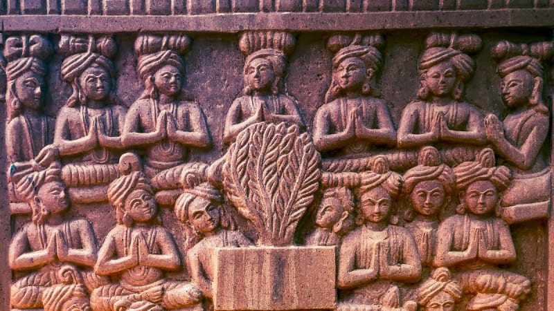 Top Influential Anthropologists Today