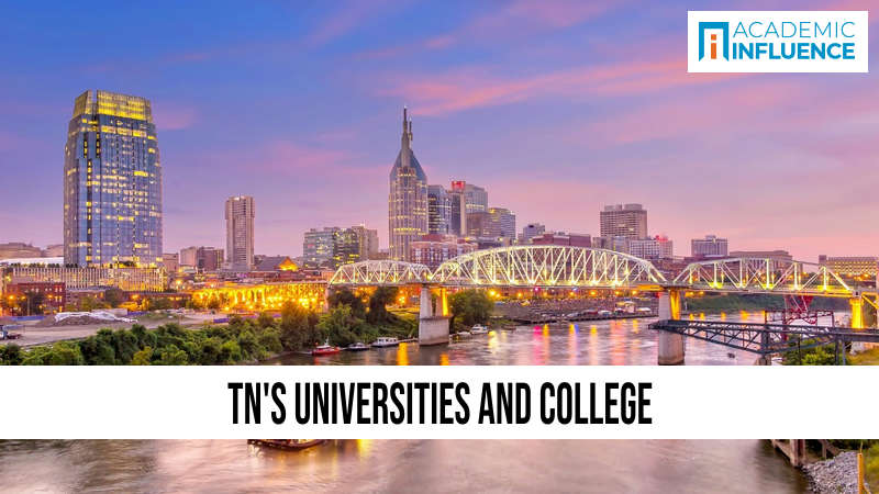 TN’s Universities and College
